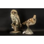 Taxidermy Interest - Owl Standing on a Log 14" high, along with a Game Bird 11" high.