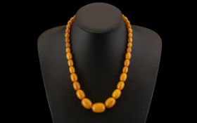 Natural Butterscotch Amber Graduated Bead Necklace with Gold Clasp. Weight 40.8 grams.