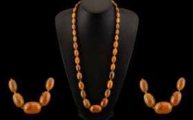 A Fine Natural Early 20th Century Egg Yolk - Graduated Amber Bead Necklace of Long length with Gold