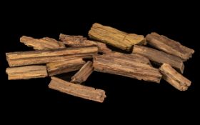 Twelve Fragments of Petrified Fossilized Wood from the Desert Regions of Eden - Murzuk sand dunes,