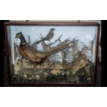 Taxidermy Interest Glazed Display Containing Two Pheasants,
