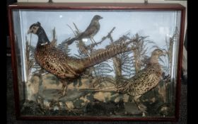 Taxidermy Interest Glazed Display Containing Two Pheasants,