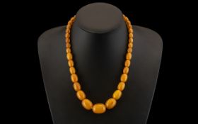 Natural Butterscotch Amber Graduated Bead Necklace with Gold Clasp. Weight 40.8 grams. Length 18