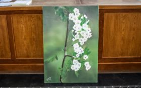 Large Oil on Canvas of Blossom by Irania