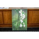 Large Oil on Canvas of Blossom by Irania