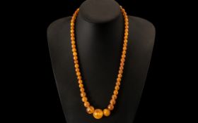 Amber/Bakelite Necklace. Early 20th Century necklace, with gold coloured clasp.