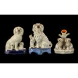Staffordshire - Scarce Collection of Mid 19th Century Hand Painted King Charles Poodle Figures ( 3