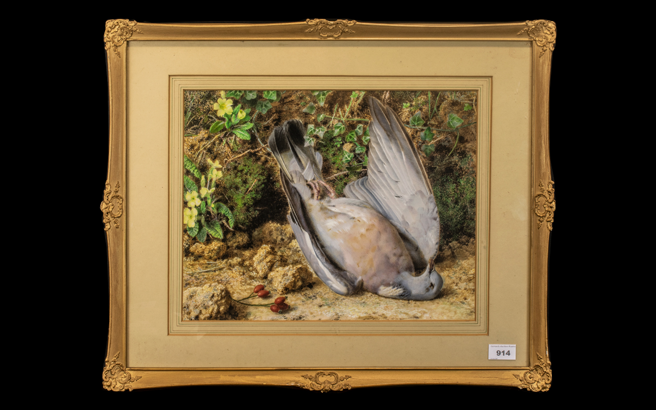 D. Sherrin Watercolour Drawing of a ' Dead Pigeon ' on A Mossy Bank, Amongst Flowers.