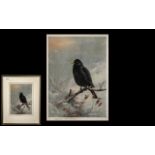 Archibald Thorburn Artist Pencil Signed Print of a ' Blackbird ' Published by W.F.