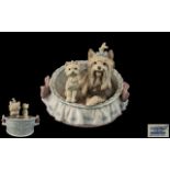 Lladro - Fine Hand Painted Porcelain Dog Figure ' Our Cozy Home ' Model No 6469. Issued 1997 - 2007.