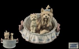 Lladro - Fine Hand Painted Porcelain Dog Figure ' Our Cozy Home ' Model No 6469. Issued 1997 - 2007.