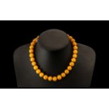 Amber/Bakelite Choker/Necklace. Early 20th Century necklace with gold tone clasp, 16" in length.