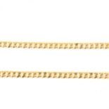 A yellow metal curb link chain necklace.