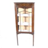 An Edwardian stained wood display cabinet,