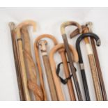 A collection of canes and walking sticks