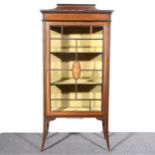 An Edwardian mahogany and stained wood china cabinet