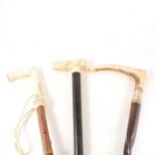 Two bone handled walking sticks and another with stag's horn handle.