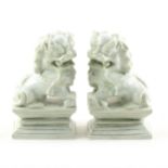Pair of carved stone Temple lions,
