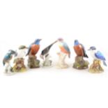 A collection of ceramic Kingfisher figures, and other birds