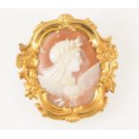 A shell cameo brooch.