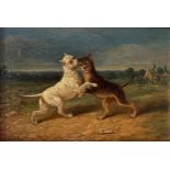 Attributed to Charles Towne, Two fighting terriers, initialled T, oil on bo