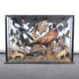 Taxidermy: A Victorian taxidermists arrangement in a glazed case, 85cm x 62cm.