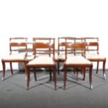 A set of six Regency style mahogany dining chairs, drop-in upholstered seat