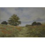 Rex Trayhorne, Poppy Field, signed, watercolour, 31cm x 45cm.