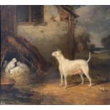 Francis Calcraft Turner Bitch and pups, oil on panel, 20cm x 24cm.
