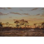 Errol Norbury, Bushveld landscape at dusk