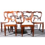 A set six of Victorian mahogany balloon back dining chairs