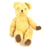 A Pedigree long haired teddy bear, with growler