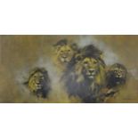 After David Shepherd, Lions, colour print, signed