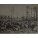 H Otto, sheep, etching and a Dutch etching