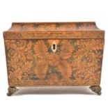 Regency painted tea caddy