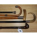 Five assorted walking canes