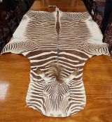 A zebra skin rug Length with tail 335cm