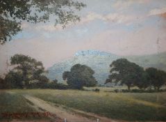 W McCarthy Mor, oil on card, View of Chanctonbury Ring, signed and dated 1931, 22 x 30cm, unframed