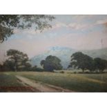 W McCarthy Mor, oil on card, View of Chanctonbury Ring, signed and dated 1931, 22 x 30cm, unframed