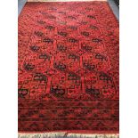 An Afghan carpet 365 x 254cm