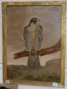 19th century English School, oil on canvas, Study of a perched falcon, 60 x 45cm