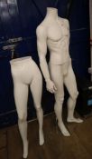 A life-size male and a half-size mannequin Life-size mannequin H.174cm