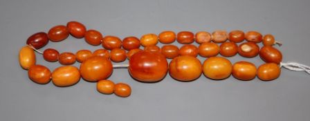 A single strand graduated oval amber bead necklace, gross 49 grams (a.f.).