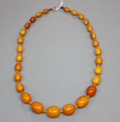 A single strand graduated oval amber bead necklace, gross weight, 38 grams, 52cm.