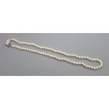 A Mikimoto Akoya cultured pearl single row necklace, with 79 uniform pearls and silver pearl-set