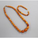 A single strand graduated oval amber bead necklace and a small amber bracelet, gross weight 19