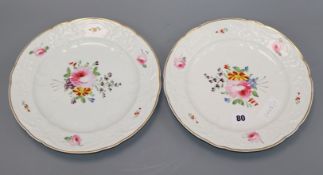 A pair of 19th century Derby plates diameter 26cm