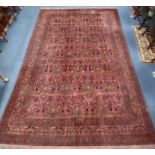 An Afghan red ground carpet 340 x 240cm