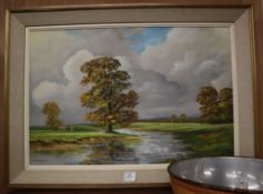 Modern British, oil on canvas, Rural landscape