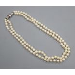 A double-row cultured pearl choker necklace with diamond and ruby-set white metal clasp, 39cm.